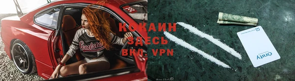 гашик Сосновый Бор