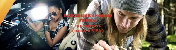 гашик Сосновый Бор