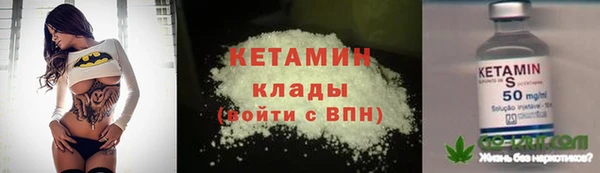 гашик Сосновый Бор