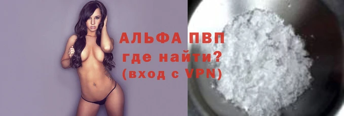 гашик Сосновый Бор