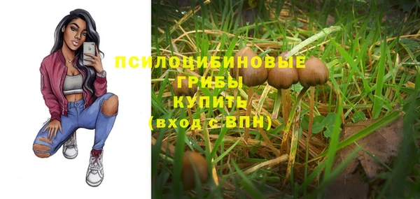 мяу мяу мука Сосновоборск