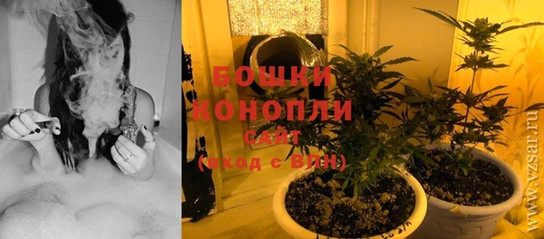 гашик Сосновый Бор