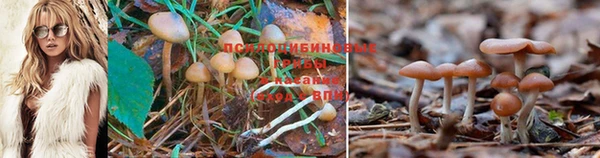 метамфетамин Сосновка