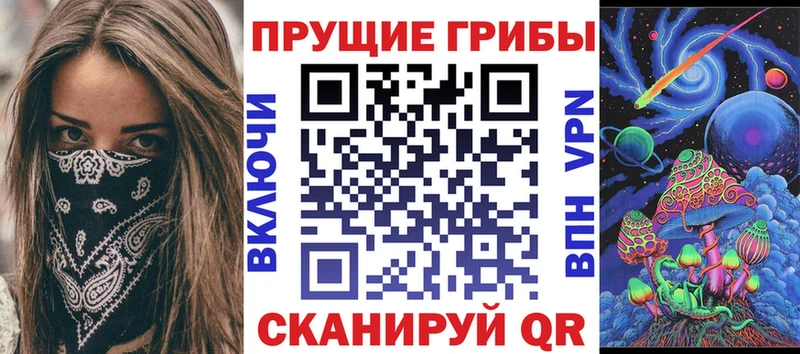 где купить   Тулун  Галлюциногенные грибы Magic Shrooms 